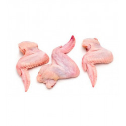 Chicken wing / Aile de Poulet